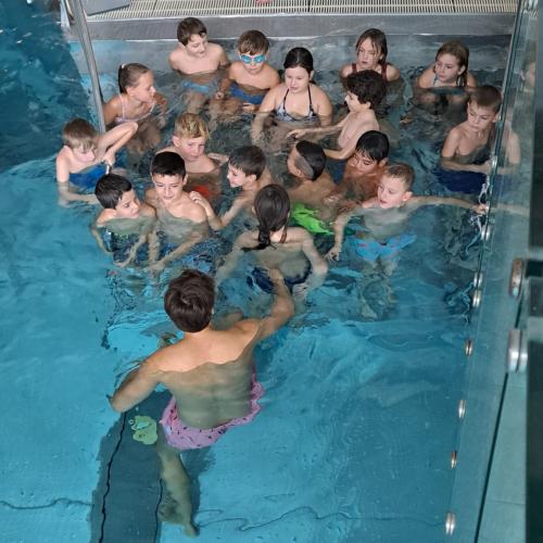 Schwimmen4