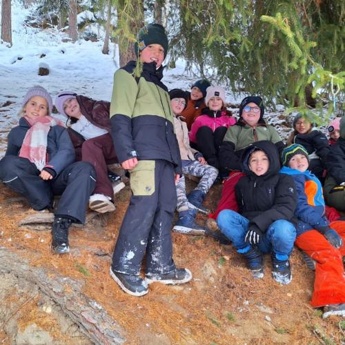 Weihnachtssteppsteig