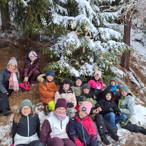 Weihnachtssteppsteig1