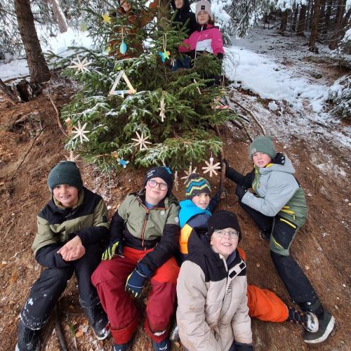 Weihnachtssteppsteig2