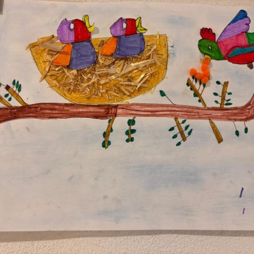 Vogelnest4
