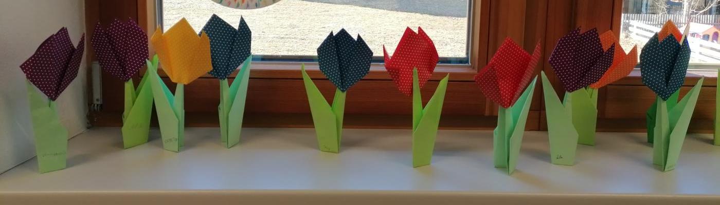 Falttulpen